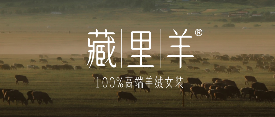 阿里之韵·藏里羊|自然与匠心的完美合奏