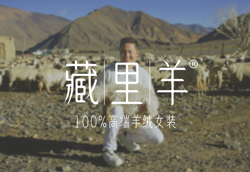 藏里羊夺世界顶级羊绒，白绒山羊守护边疆