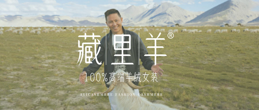 西方皇室追捧的羊绒，源自西藏阿里